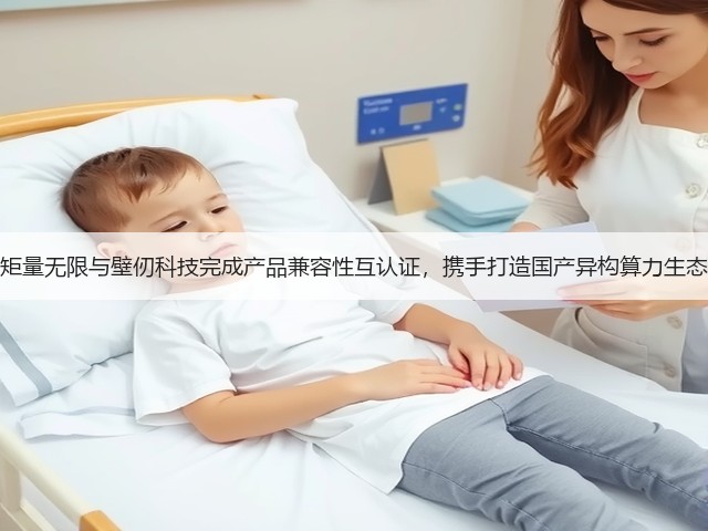 矩量无限与壁仞科技完成产品兼容性互认证，携手打造国产异构算力生态(图3)