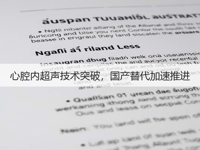 心腔内超声技术突破，国产替代加速推进(图3)