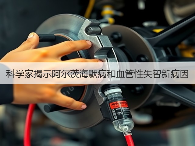科学家揭示阿尔茨海默病和血管性失智新病因(图3)