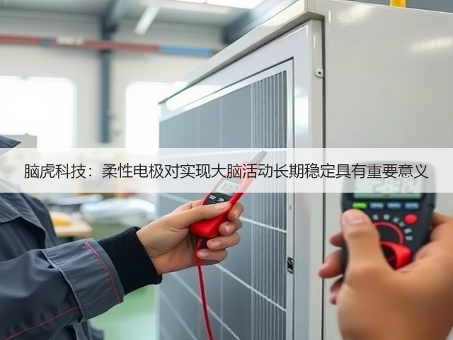 脑虎科技:柔性电极对实现大脑活动长期稳定具有重要意义(图3) 脑虎科技:柔性电极对实现大脑活动长期稳定具有重要意义(图3)