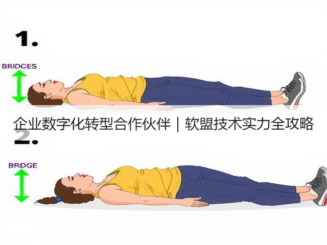 企业数字化转型合作伙伴｜软盟技术实力全攻略(图2)