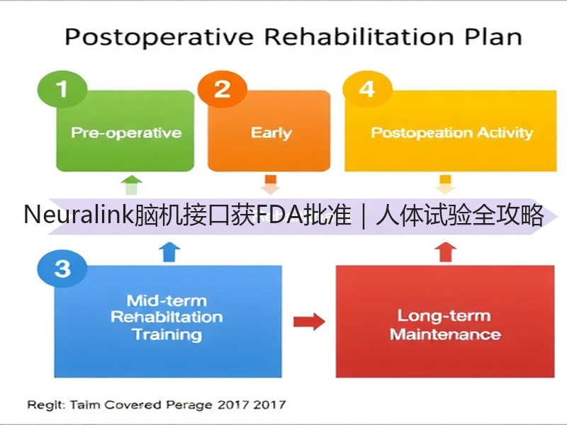 Neuralink脑机接口获FDA批准｜人体试验全攻略