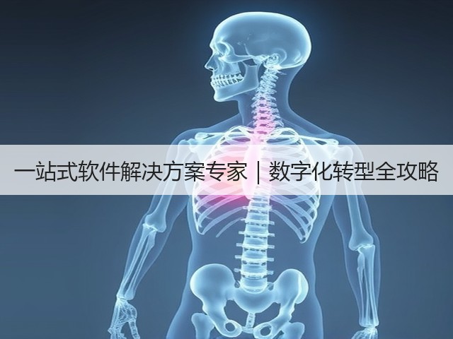 一站式软件解决方案专家|数字化转型全攻略(图2) 一站式软件解决方案专家|数字化转型全攻略(图2)