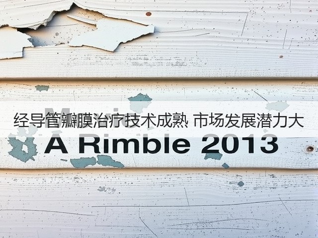 经导管瓣膜治疗技术成熟 市场发展潜力大(图2)