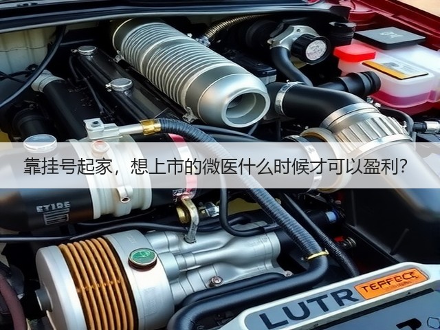 靠挂号起家，想上市的微医什么时候才可以盈利？(图3)