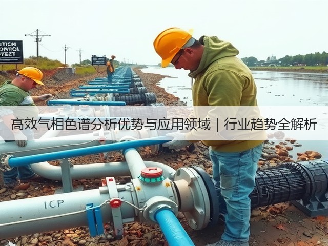 高效气相色谱分析优势与应用领域｜行业趋势全解析(图3)