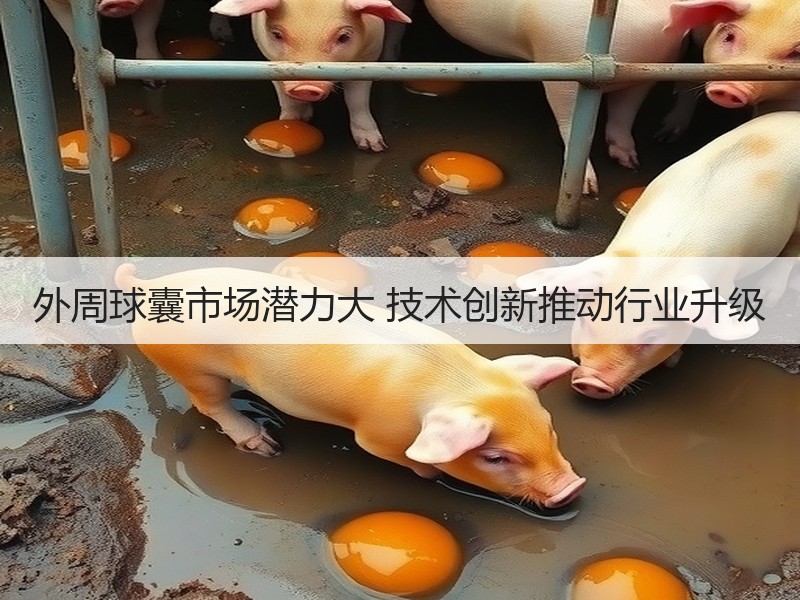 外周球囊市场潜力大 技术创新推动行业升级