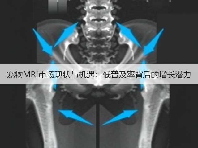 宠物MRI市场现状与机遇：低普及率背后的增长潜力(图3)