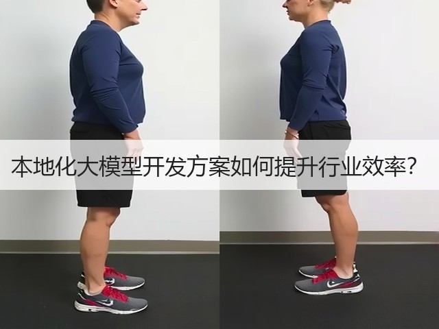 本地化大模型开发方案如何提升行业效率？(图1)