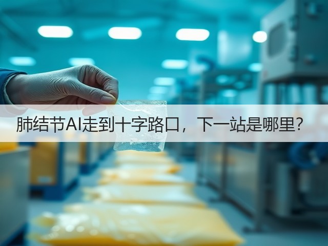 肺结节AI走到十字路口,下一站是哪里?(图1) 肺结节AI走到十字路口,下一站是哪里?(图1)