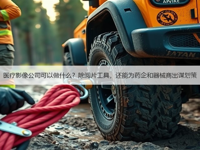 医疗影像公司可以做什么？除阅片工具，还能为药企和器械商出谋划策(图3)
