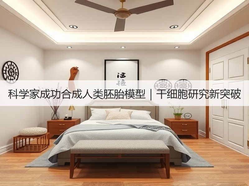 科学家成功合成人类胚胎模型｜干细胞研究新突破