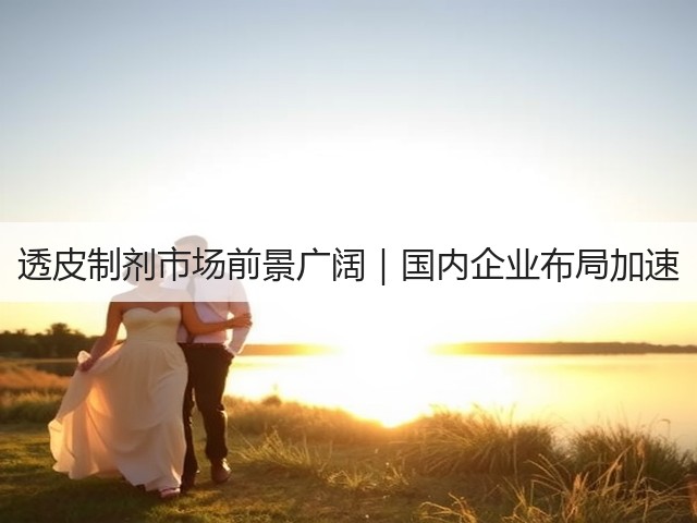 透皮制剂市场前景广阔|国内企业布局加速(图1) 透皮制剂市场前景广阔|国内企业布局加速(图1)