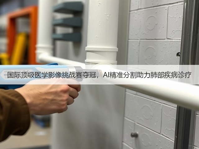 国际顶级医学影像挑战赛夺冠，AI精准分割助力肺部疾病诊疗(图3)
