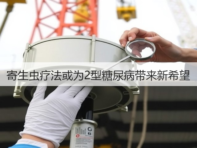 寄生虫疗法或为2型糖尿病带来新希望(图1)
