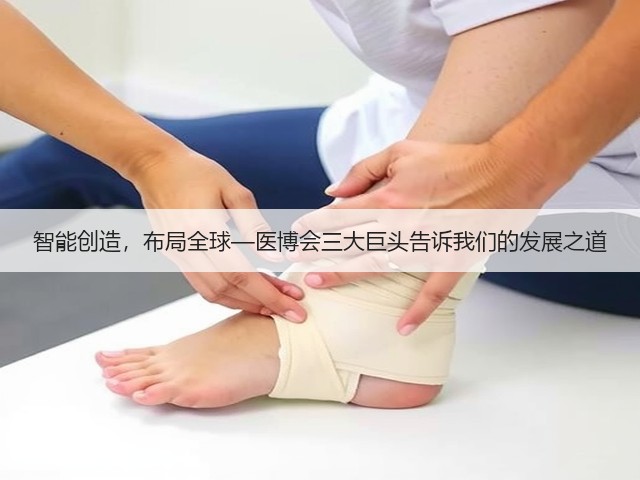 智能创造，布局全球—医博会三大巨头告诉我们的发展之道(图3)