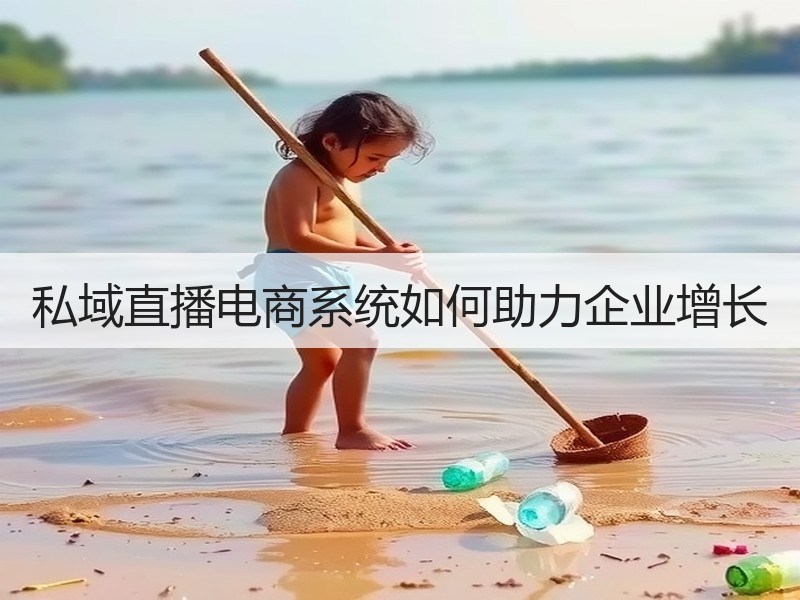 私域直播电商系统如何助力企业增长