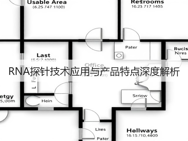 RNA探针技术应用与产品特点深度解析(图1)