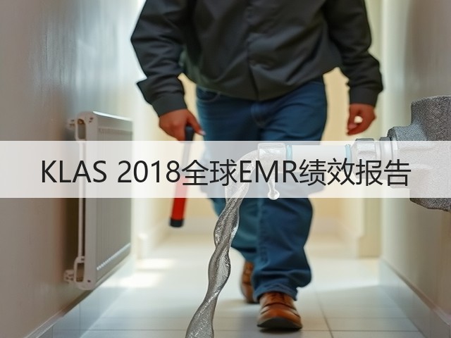 KLAS 2018全球EMR绩效报告(图3)