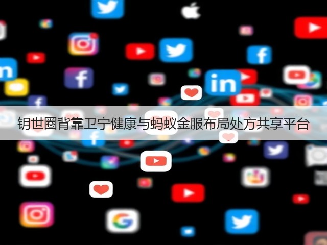 钥世圈背靠卫宁健康与蚂蚁金服布局处方共享平台(图2)