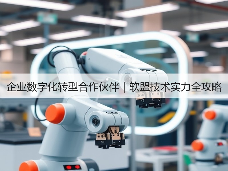 企业数字化转型合作伙伴｜软盟技术实力全攻略