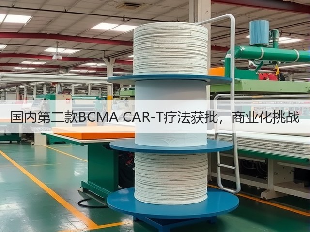 国内第二款BCMA CAR-T疗法获批,商业化挑战(图2) 国内第二款BCMA CAR-T疗法获批,商业化挑战(图2)