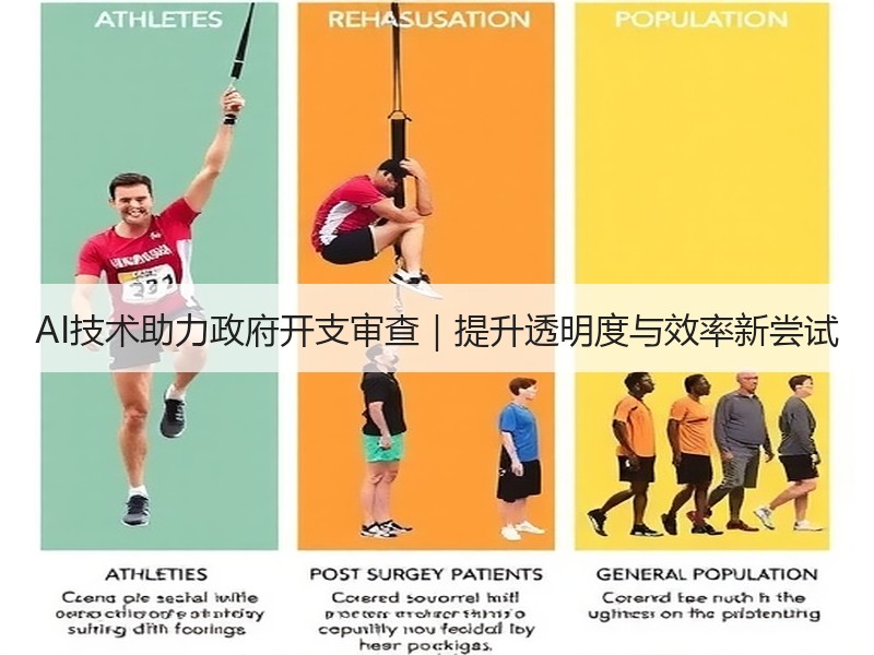 AI技术助力政府开支审查｜提升透明度与效率新尝试