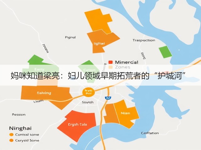 妈咪知道梁亮：妇儿领域早期拓荒者的“护城河”(图3)