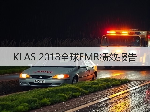 KLAS 2018全球EMR绩效报告(图2)