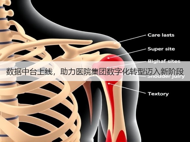 数据中台上线，助力医院集团数字化转型迈入新阶段(图2)