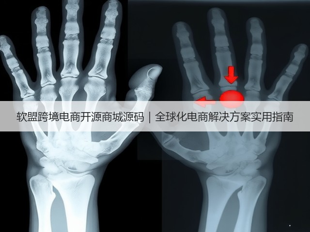 软盟跨境电商开源商城源码｜全球化电商解决方案实用指南(图3)