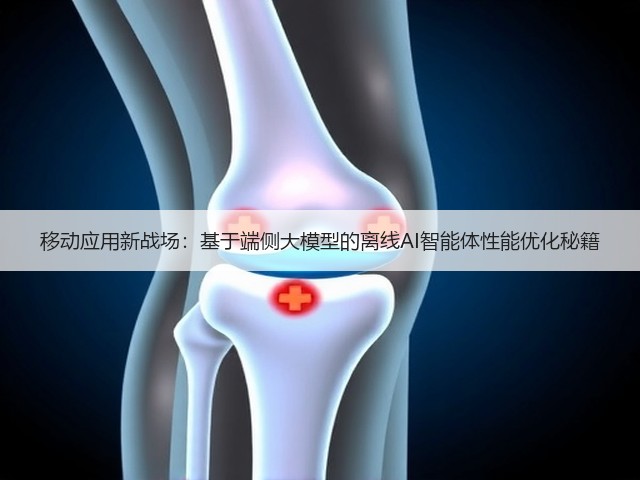 移动应用新战场：基于端侧大模型的离线AI智能体性能优化秘籍(图3)