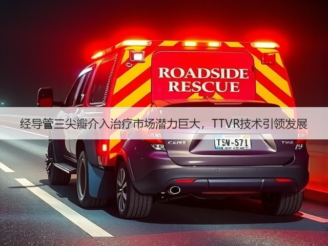 经导管三尖瓣介入治疗市场潜力巨大，TTVR技术引领发展(图3)