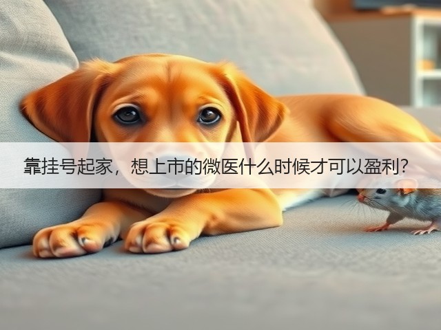 靠挂号起家，想上市的微医什么时候才可以盈利？(图2)