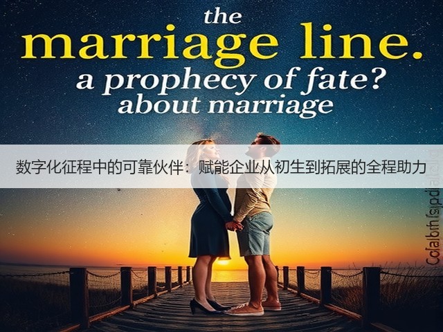 数字化征程中的可靠伙伴：赋能企业从初生到拓展的全程助力(图1)