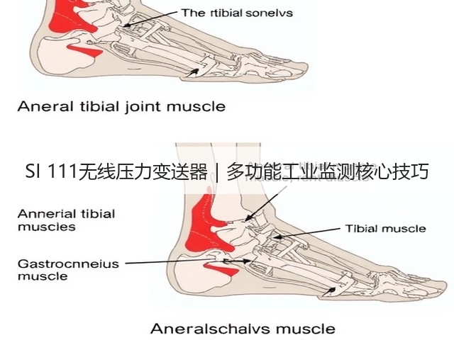SI 111无线压力变送器｜多功能工业监测核心技巧(图3)