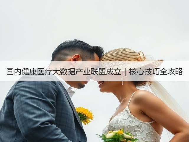 国内健康医疗大数据产业联盟成立｜核心技巧全攻略(图1)
