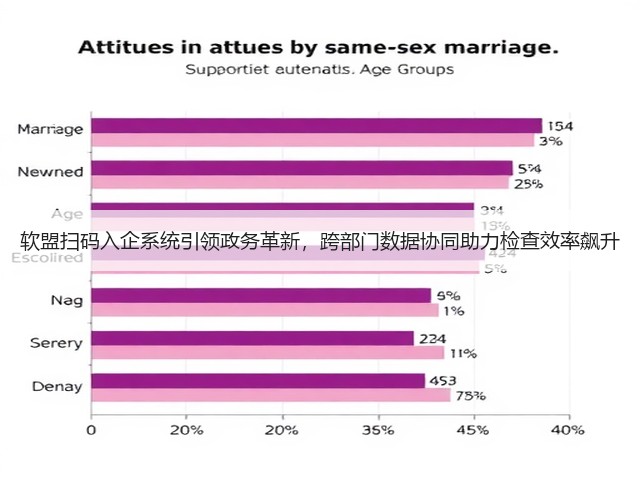软盟扫码入企系统引领政务革新，跨部门数据协同助力检查效率飙升(图2)