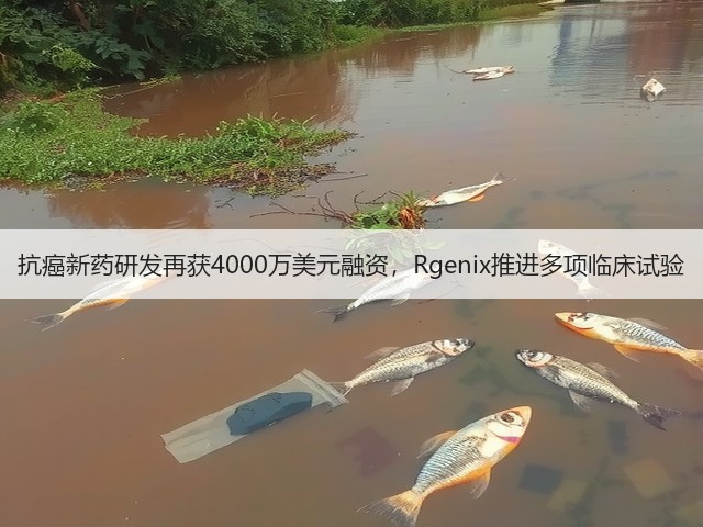 抗癌新药研发再获4000万美元融资，Rgenix推进多项临床试验(图2)