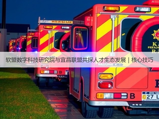 软盟数字科技研究院与宜昌联盟共探人才生态发展｜核心技巧(图1)