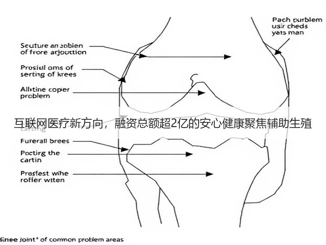 互联网医疗新方向，融资总额超2亿的安心健康聚焦辅助生殖(图2)