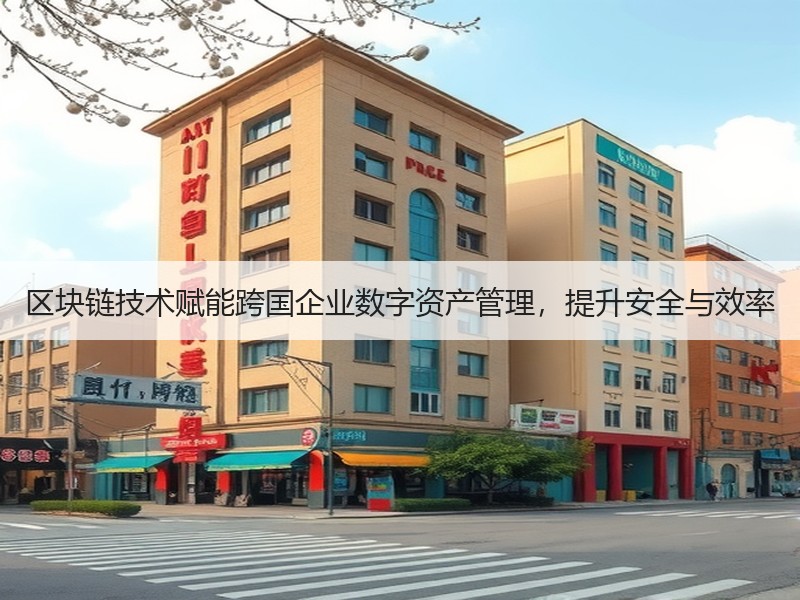 区块链技术赋能跨国企业数字资产管理，提升安全与效率