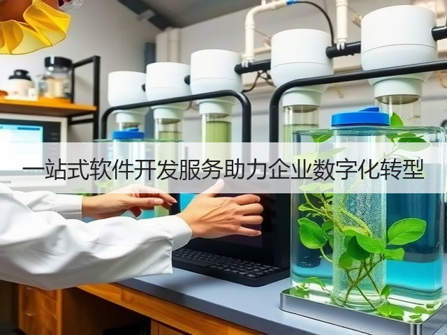 一站式软件开发服务助力企业数字化转型(图3)