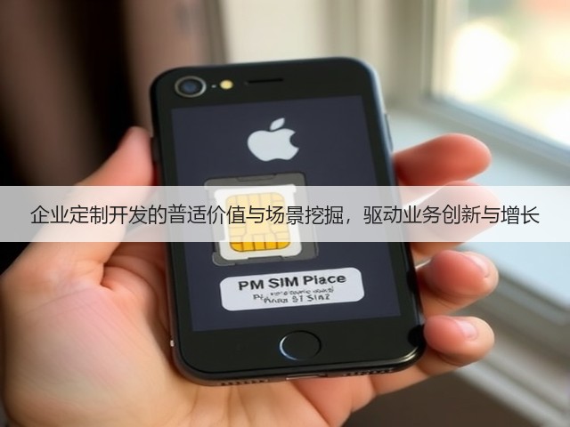 企业定制开发的普适价值与场景挖掘，驱动业务创新与增长(图2)