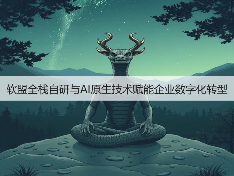 软盟全栈自研与AI原生技术赋能企业数字化转型