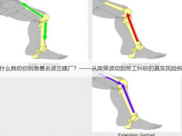 为什么我劝你别急着去波兰建厂？——从政策波动到劳工纠纷的真实风险拆解(图1)