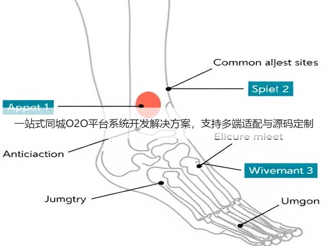 一站式同城O2O平台系统开发解决方案，支持多端适配与源码定制(图2)