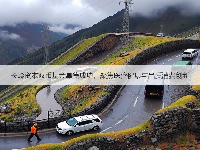 长岭资本双币基金募集成功，聚焦医疗健康与品质消费创新(图2)