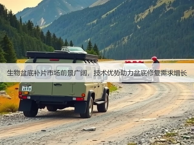 生物盆底补片市场前景广阔，技术优势助力盆底修复需求增长(图1)