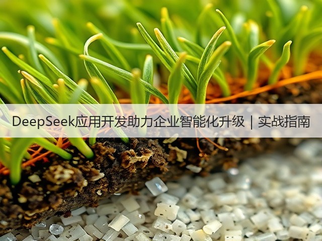 DeepSeek应用开发助力企业智能化升级|实战指南(图1) DeepSeek应用开发助力企业智能化升级|实战指南(图1)